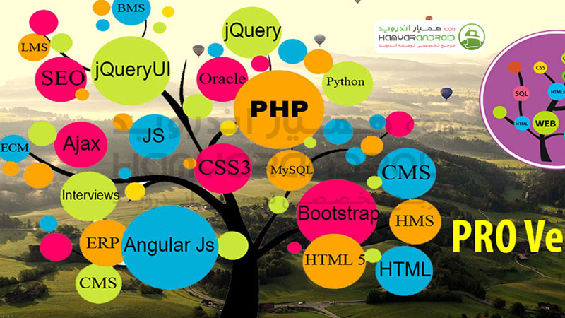 دانلود برنامه آموزش برنامه نویسی و طراحی وب Learn Web Development برای اندروید