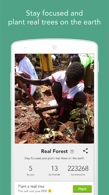 p_Forest-Stay-focused_5(www.HamyarAndroid.com).png