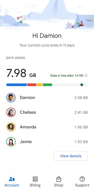 p_Google-Fi_8(www.HamyarAndroid.com).jpg
