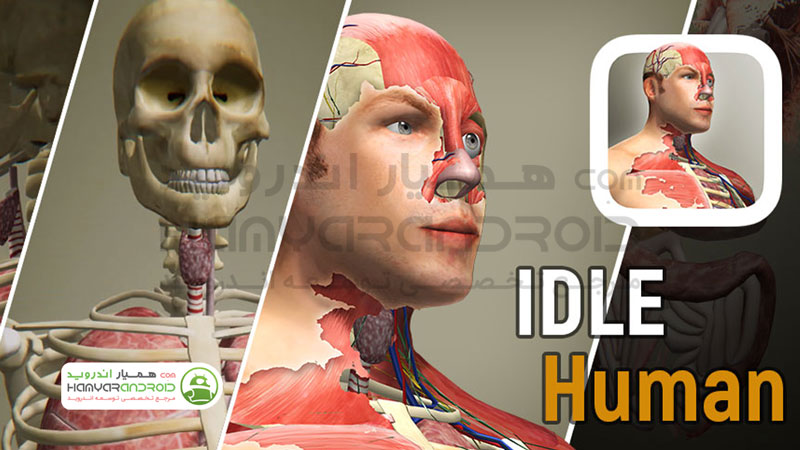 دانلود بازی Idle Human بدن انسان مود شده برای اندروید