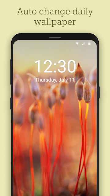 p_Bing-Wallpapers_5(www.HamyarAndroid.com).jpg
