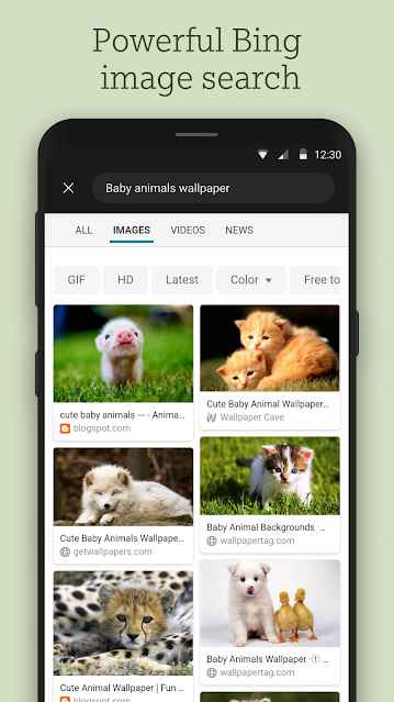 p_Bing-Wallpapers_7(www.HamyarAndroid.com).jpg