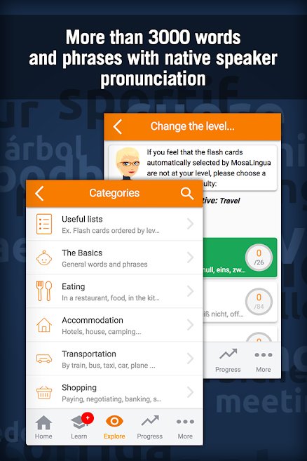 p_Learn-German-with-MosaLingua_4(www.HamyarAndroid.com).jpg