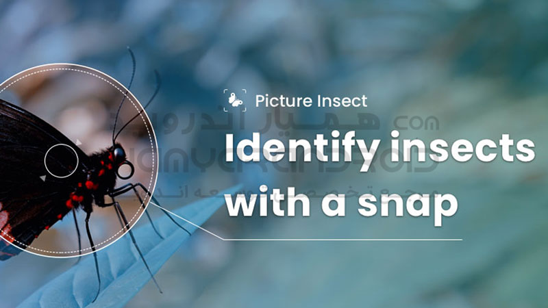 دانلود برنامه شناسایی حشرات Picture Insect برای اندروید + نسخه پریمیوم