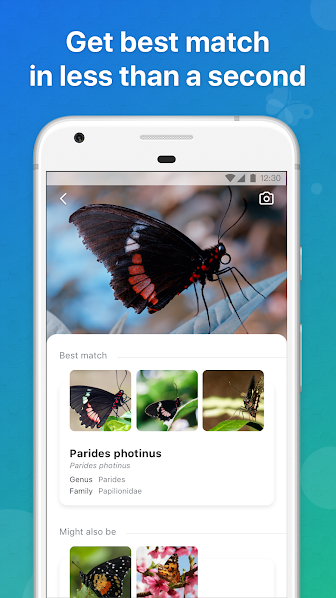 p_com.glority.pictureinsect_4(www.HamyarAndroid.com).png