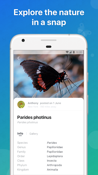 p_com.glority.pictureinsect_5(www.HamyarAndroid.com).png