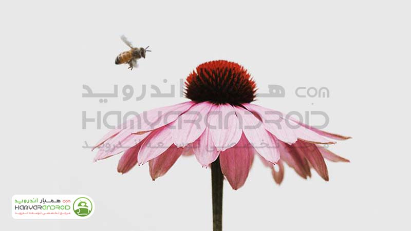 دانلود برنامه VIMAGE ایجاد تصاویر زنده و سینماگراف برای اندروید