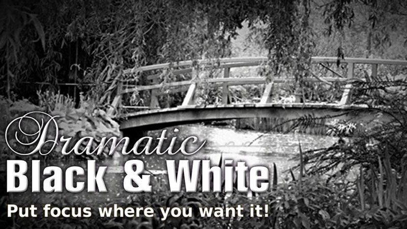 دانلود نرم افزار سیاه سفید کننده عکس Dramatic Black White برای اندروید