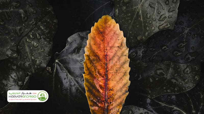 دانلود برنامه ادوبی فوتوشاپ لایتروم Adobe Lightroom برای اندروید