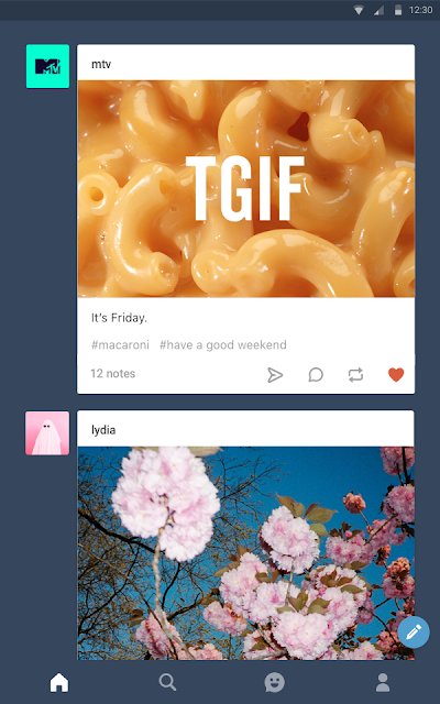 Tumblr_8_(www.HamyarAndroid.com).jpg