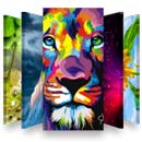 1,000,000 Wallpapers HD 4k - دیتابیس تصاویر زمینه