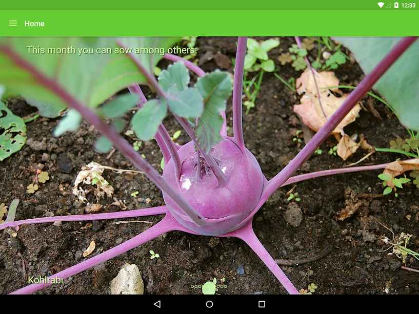 p_Gardroid_9(www.HamyarAndroid.com).jpg